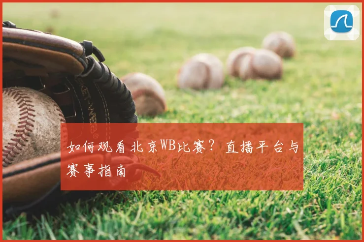 如何观看北京WB比赛？直播平台与赛事指南