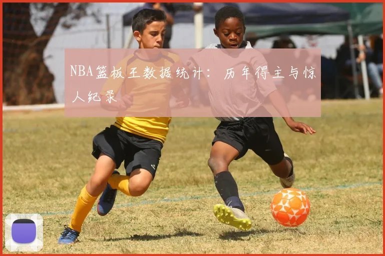 NBA篮板王数据统计：历年得主与惊人纪录