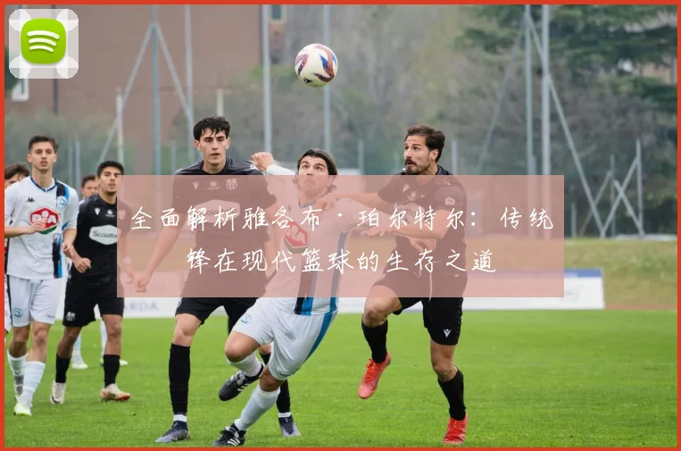 全面解析雅各布·珀尔特尔：传统中锋在现代篮球的生存之道