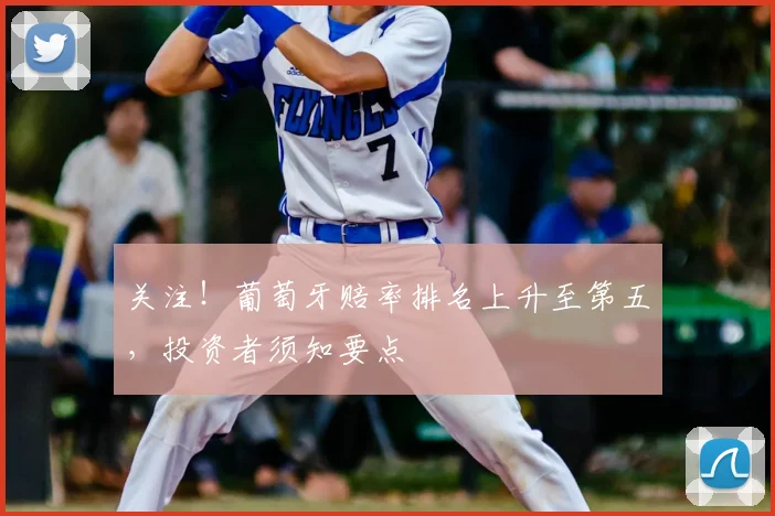 关注！葡萄牙赔率排名上升至第五，投资者须知要点