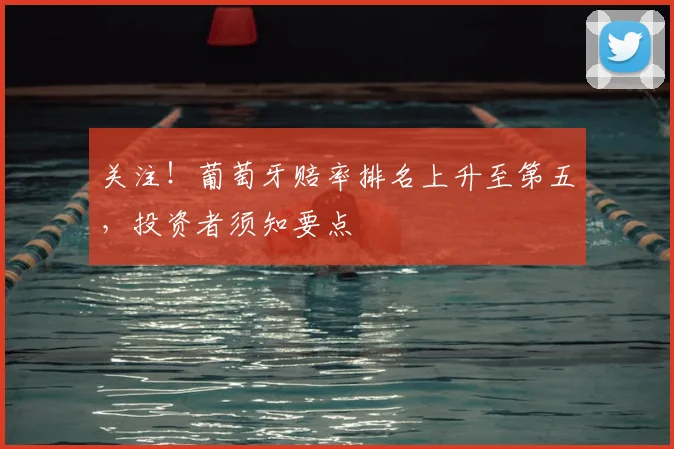 关注！葡萄牙赔率排名上升至第五，投资者须知要点