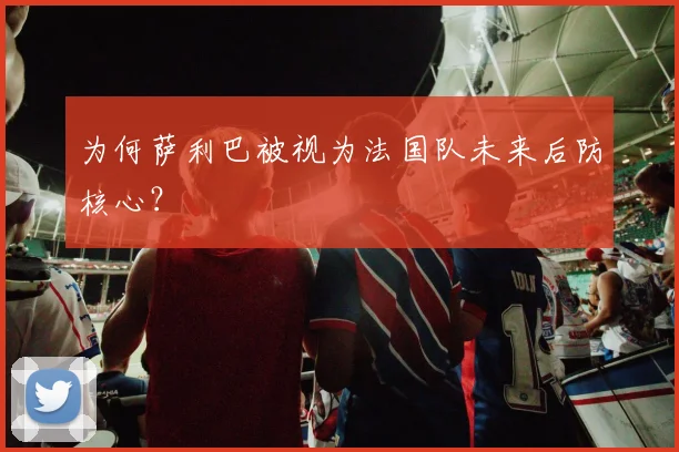 为何萨利巴被视为法国队未来后防核心？